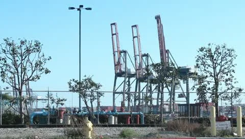 3 cranes medium close 库存影片 10883179