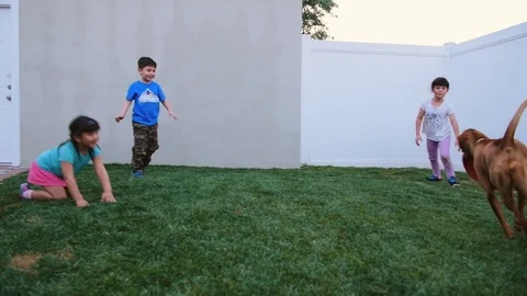 3 CUTE HISPANIC SIBLINGS CHASE DOG IN SLO-MO Stock Footage 74930392
