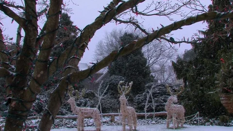 3 deer sculpters revealed from tree in heavy snow Stock-Footage 91544026