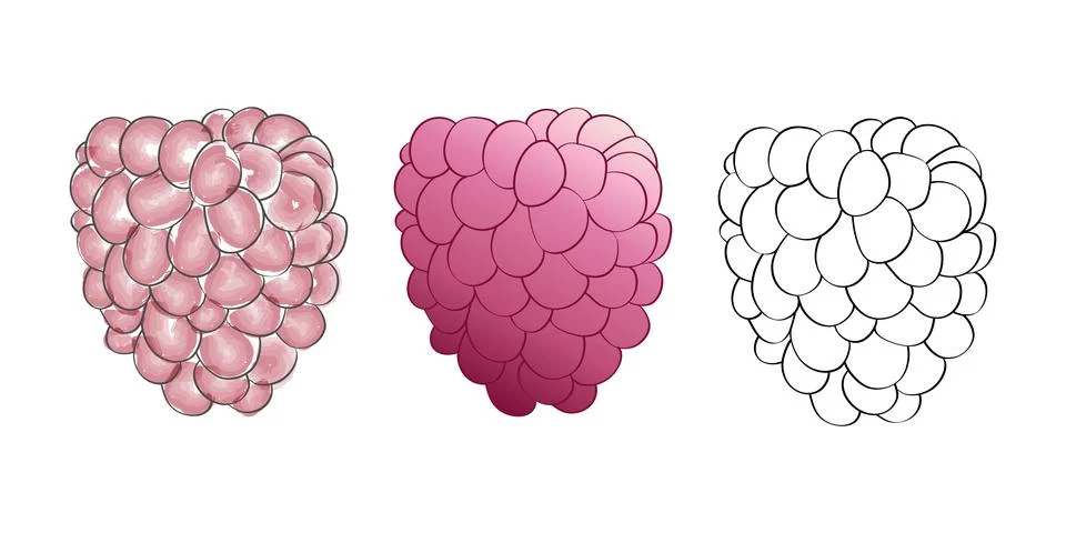 3 digital raspberry illustrations in different styles 스톡 일러스트