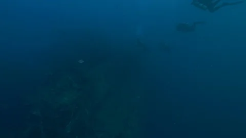 3 divers arrive at the shiwreck Thistelgorm with serjeant fishes, Red Sea,Egypt  Stock Footage 105415767