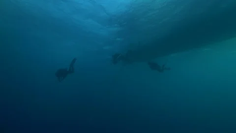 3 divers dive in line with the water against the light, Red Sea, Egypt Stock Footage 105415325
