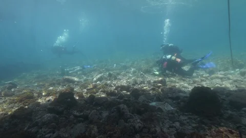 3 divers filming a dummy on the seabed, Ustica, Sicily,Mediterranean sea Vídeos de archivo 124010498