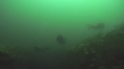 3 divers irl Stock Footage 12471254