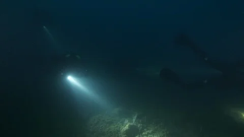 3 divers with torch swims at the seabed, Argentario, Mediterranean sea, Italy Stock Footage 108731431