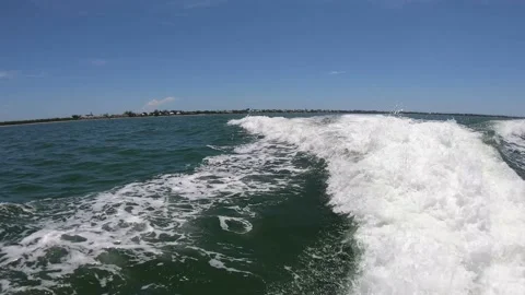 3 dolphins jumping together Vídeos de archivo 219238018