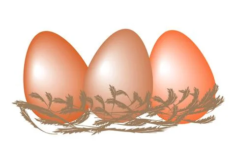 3 eggs in chicken feathers. flat vector illustration 스톡 일러스트