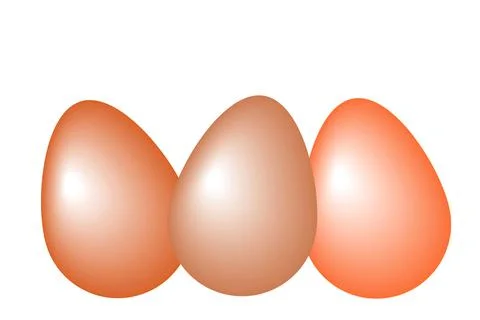 3 eggs flat vector illustration Stock Illustration