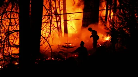 3 fire fighters in Forest Fire Stock Footage 41831738