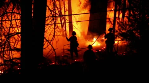 3 fire fighters working together to control fire Stock Footage 41831678