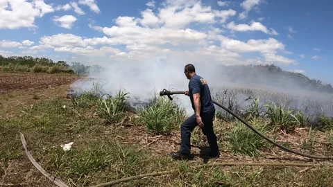 3 Firemen Extinguishing Fire on a Grassland Stock Footage 218254434