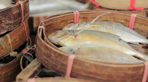 3 Fish in a Basket Stock Footage 8678758