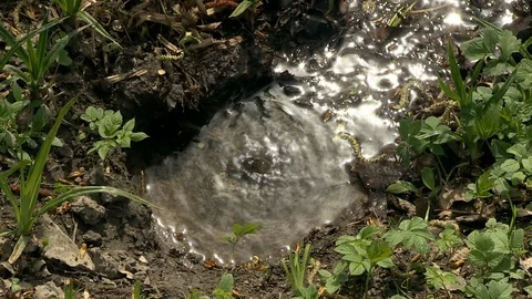 3-fontanel 库存影片 126433111