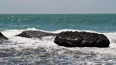 3 Stock Footage 10834919