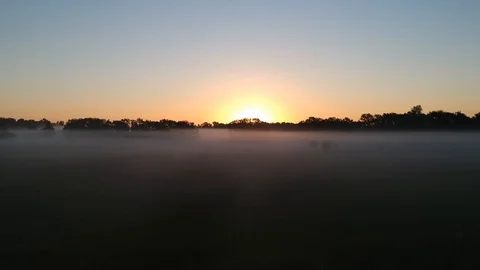 3 Gliding over a summer field in the fog at dawn Stock Footage 115690158