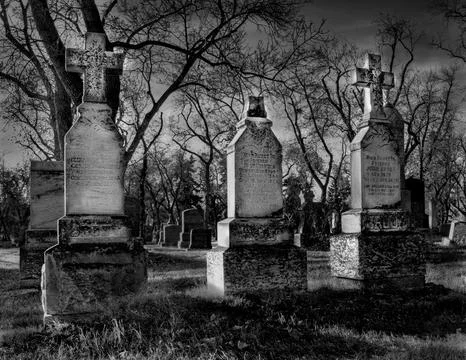 3 Heads Stock Photos