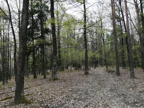 3  HUNTERS-looking  constructions Stock Photos