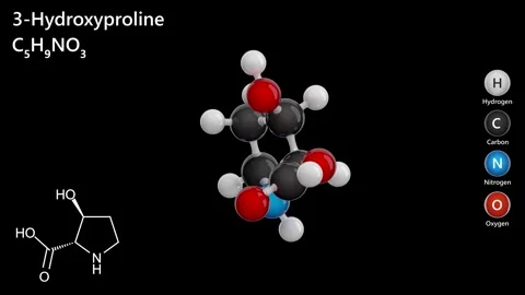 3-Hydroxyproline. C5H9NO3. black background. 3D rendering. Seamless loop Stock Footage 288852457