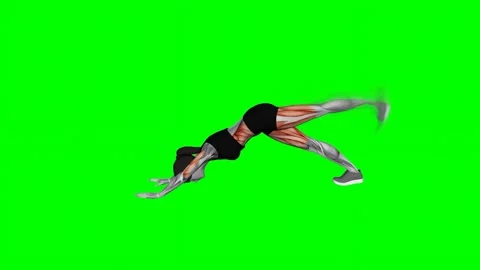 3 Leg Chatarunga Pose female fitness gym exercise workout animation muscle highl Видео 247707581