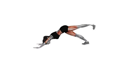 3 Leg Chatarunga Pose female 1 fitness gym exercise workout animation muscle hig Видео 247708401