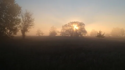 3 meditative flight to the sun through and through summer fog Video stock 124840517