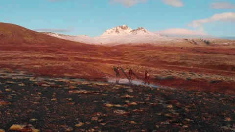 3 men walking in front of a glacier in Iceland during sunset Video stock 158748489