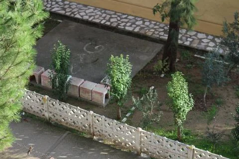 3 midget trees Stock-Fotos