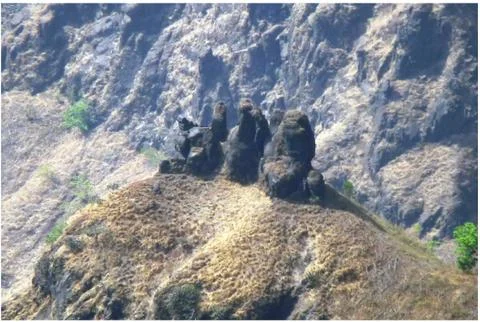 3 monkey point Foto stock