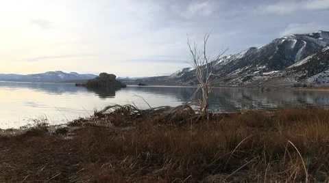3 MONO LAKE Stock Footage 10786473