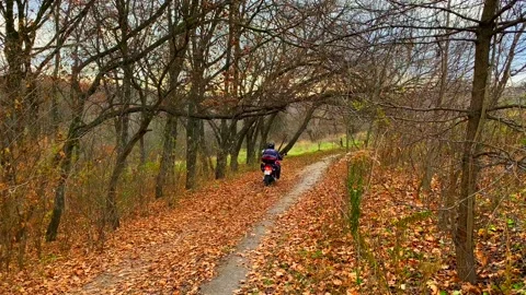 3 motorcyclists drive one after another through the autumn forest Stock Footage