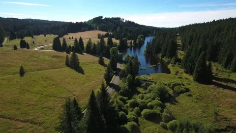 3 Nature Bohemia Lake Day Summer aerial Stock Footage