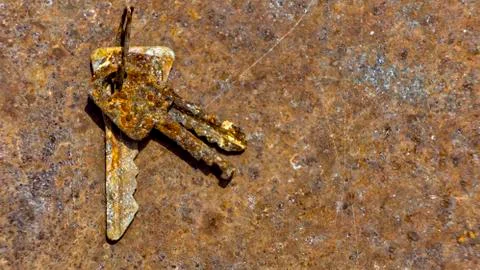 3 old rusty keys on ring shot on steel textured background. Copy space. Stock Photos