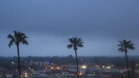 3 Palm trees over city on rainy day Stock-Footage 87757399