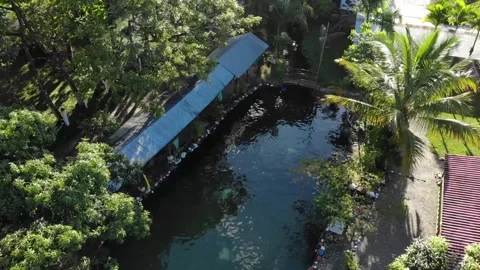 3 PLAMAS Stock Footage 136203820