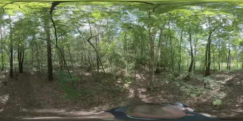 The 3 Ponds Valley in 360 VR. Katowice/Poland-07/18/2024. Video stock 295371453