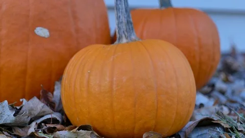 3 pumpkins sitting outside a door close up 스톡 동영상 118463630