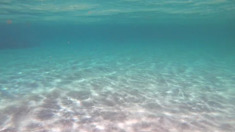 3 Red Sea Diving With Underwater View Of Clear Water Stock Footage 308186512