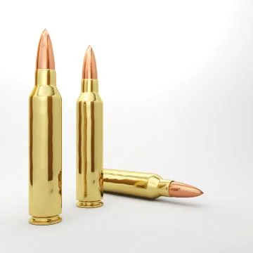 3 Rifle Bullets Stock Illustration