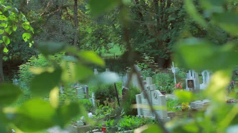 3 shoots of old graveyard Stock Footage 25272057