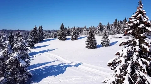 3 shots from drone above the trees Stock Footage 97472750