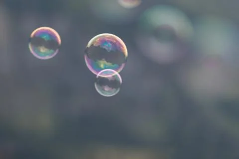 3 soap bubbles on gray background Stock Photos