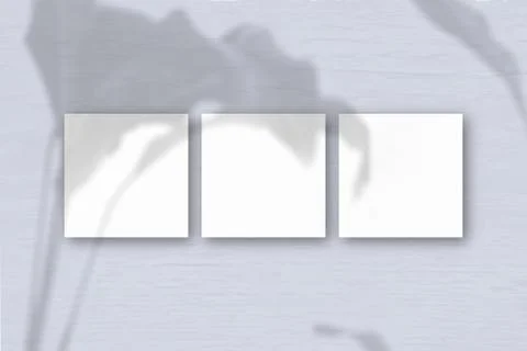 3 square sheets of white textured paper on the grey wall background. Mockup o Stock Illustration
