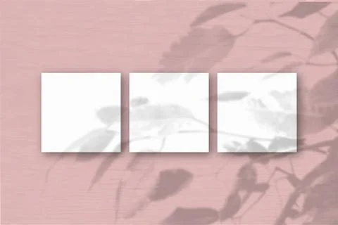 3 square sheets of white textured paper on the pink wall background. Mockup o Stock Illustration