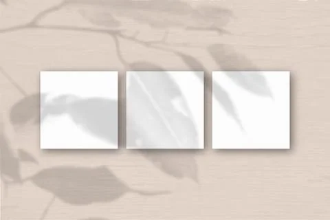 3 square sheets of white textured paper on the peach wall background. Mockup Stock Illustration