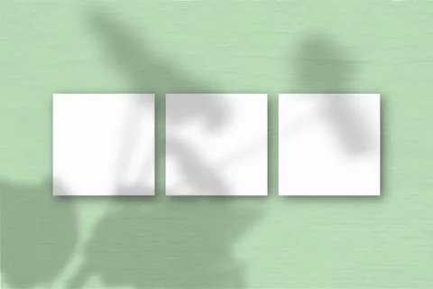 3 square sheets of white textured paper on the green wall background. Mockup  Stock Illustration