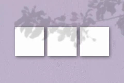 3 square sheets of white textured paper on the lilac wall background. Mockup  Stock Illustration