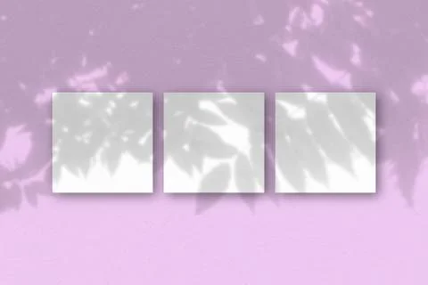 3 square sheets of white textured paper on the pink wall background. Mockup o Stock Illustration