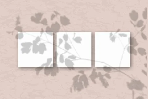 3 square sheets of white textured paper against a pink wall. Mockup overlay with Stock Illustration