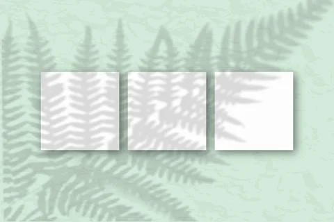 3 square sheets of white textured paper on the gray-green wall background Stock-Illustration