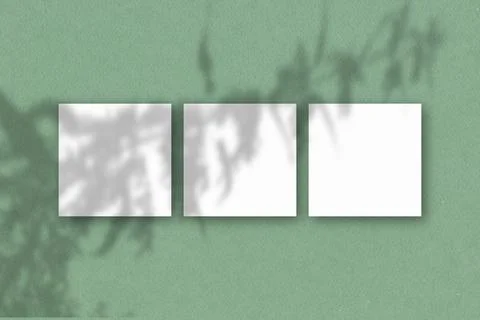 3 square sheets of white textured paper on the green wall. Mockup overlay with Stock Illustration